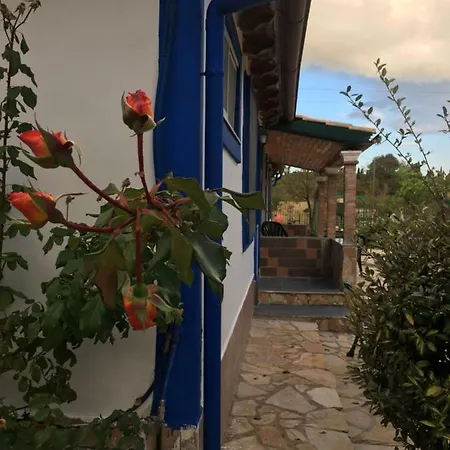 Facen Appartement